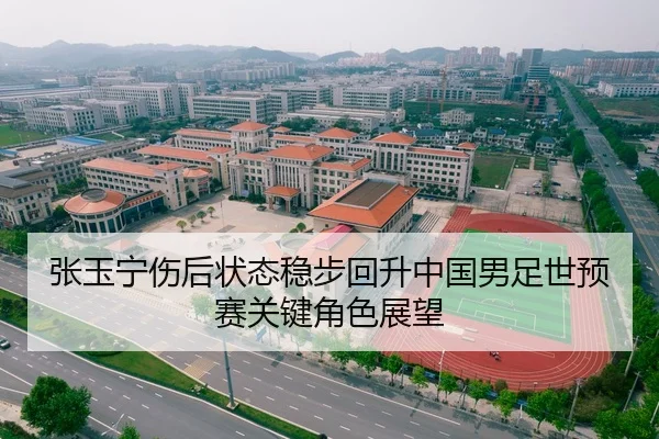 张玉宁伤后状态稳步回升中国男足世预赛关键角色展望